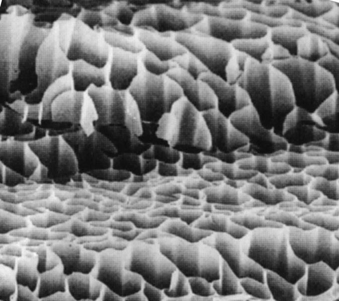 電子顕微鏡(倍率170倍)で撮影したアクティブドライの内部構造写真。 独自製法により、焼成の過程で天然セラミック微粉末を蜂の巣穴状構造体に皮膚状に覆うことにより、破損しやすい炭の構造体を半永久的に守る。