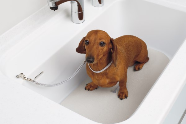 マルチユースボウルをペット仕様にした「ペットプラン」。自宅で手軽に愛犬をシャンプーすることができる。深くて大きな排水カゴのため、目詰まりしにくく手入れも簡単。