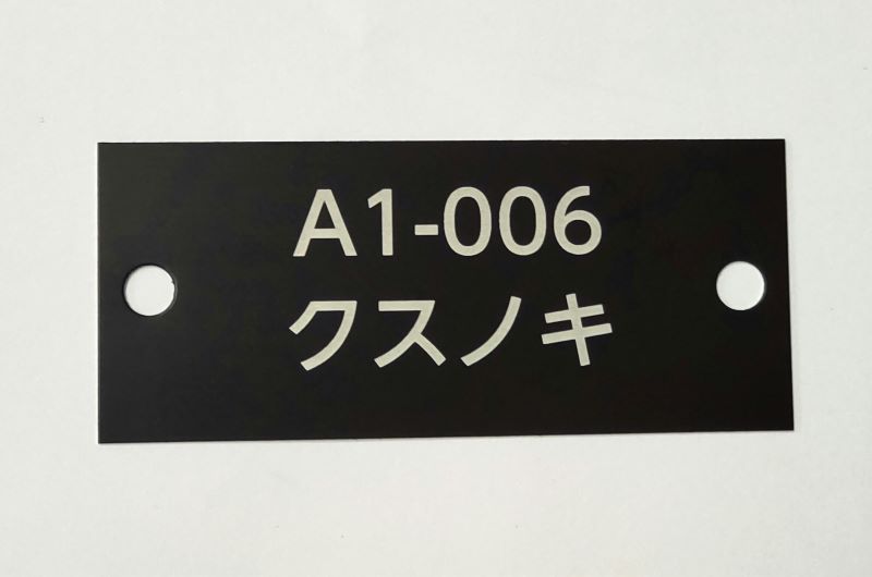 ステンレス製 横浜市　横浜公園　A3サイズ記念樹名板 溶剤系インクジェット印刷