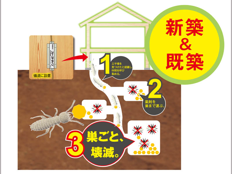 建物内にすでにシロアリの蟻道や被害がある場合に最適。 屋外、土台、天井などの被害部に直接設置できる。 場所を取らない小型容器で、容易に設置可能。