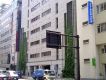 事例：東京都千代田区 最大高さ16mの壁面緑化に使用