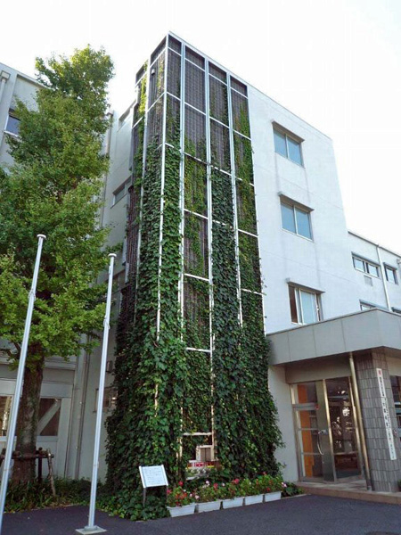 事例：東京都目黒区 最大高さ14.6mの壁面緑化に使用