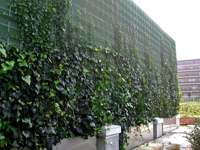 事例：東京都多摩市 ビル屋上の壁面緑化用プランターに使用