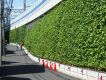 事例：神奈川県横浜市 鉄道の盛土擁壁の壁面緑化に使用
