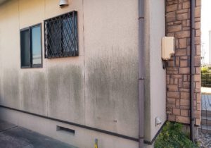 お施主様が当初気にしていた北面の外壁のカビとコケ
