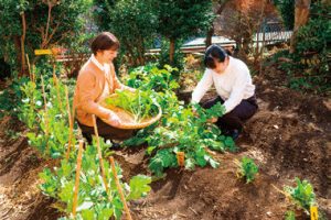 畑も同社が引き継ぎ、スタッフが管理している