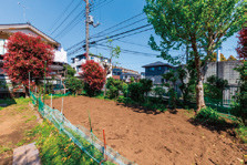 敷地内にある畑と、70種類もの草木が植えられている庭