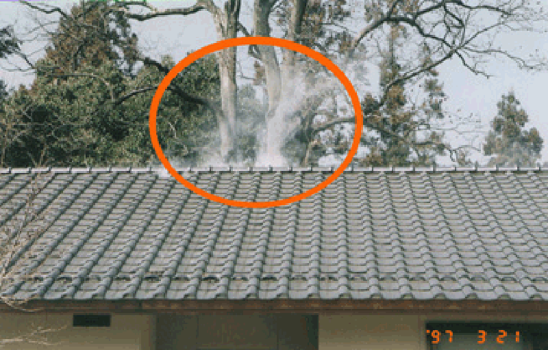 棟換気リンピアの詳細