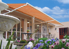 ジャンボオーニング ベガの詳細