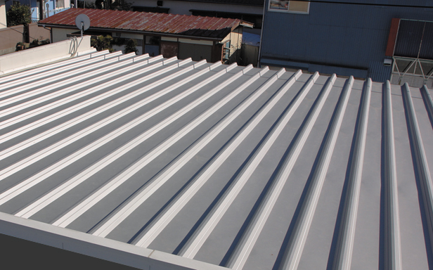 ビューティルーフL-100の詳細