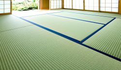 カネライト畳の詳細