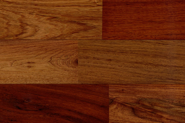 カリン T-210の詳細