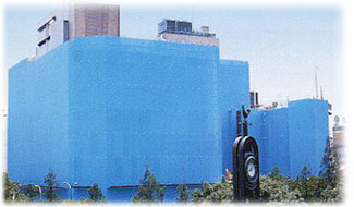 ボウエンメッシュ