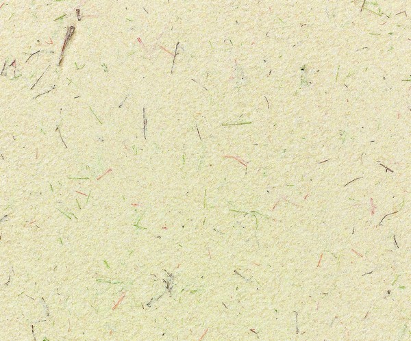 セラプルーフ プラスター［彩華］の詳細