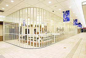 イスターカーテンの詳細