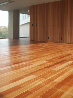 大学構内の床面。