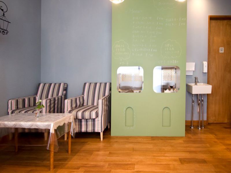 ＜施工例：オーク　クラスセレクト＞
家具との相性も良く、すっきりと落ち着いた空間になる。