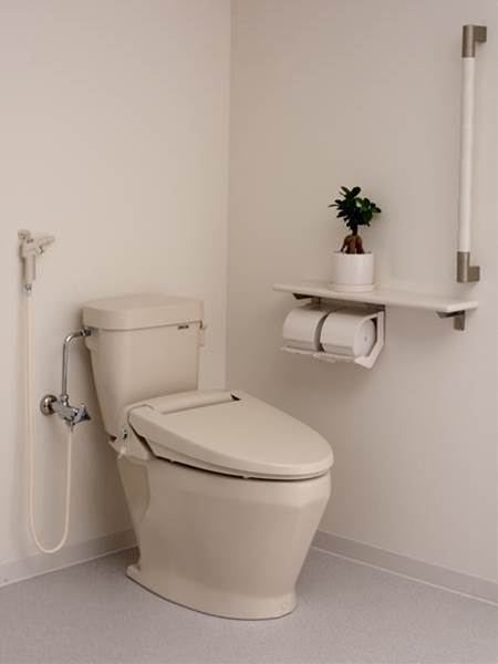 DXP-5070HP/N　手洗なし、
暖房便座、洗浄ノズル付　
定価170,000円