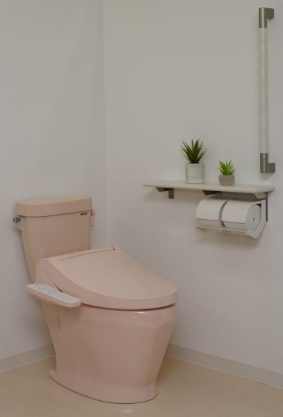 DXP-5070FP,MB31　手洗なし、
防寒ヒーター付、
温水洗浄便座付（脱臭付）　
定価225,900円