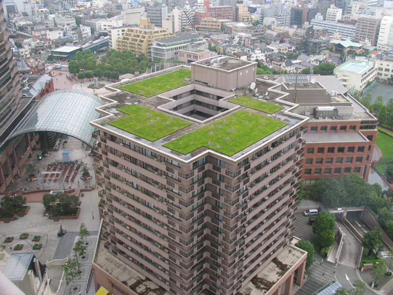 屋上緑化には階下室の温度を下げ、快適に暮らせる効果もある。