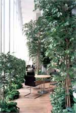 インテリアグリーンの詳細