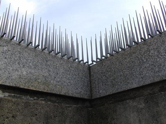 はみ出して設置すれば、鳥が足をかけることができず、より効果的。