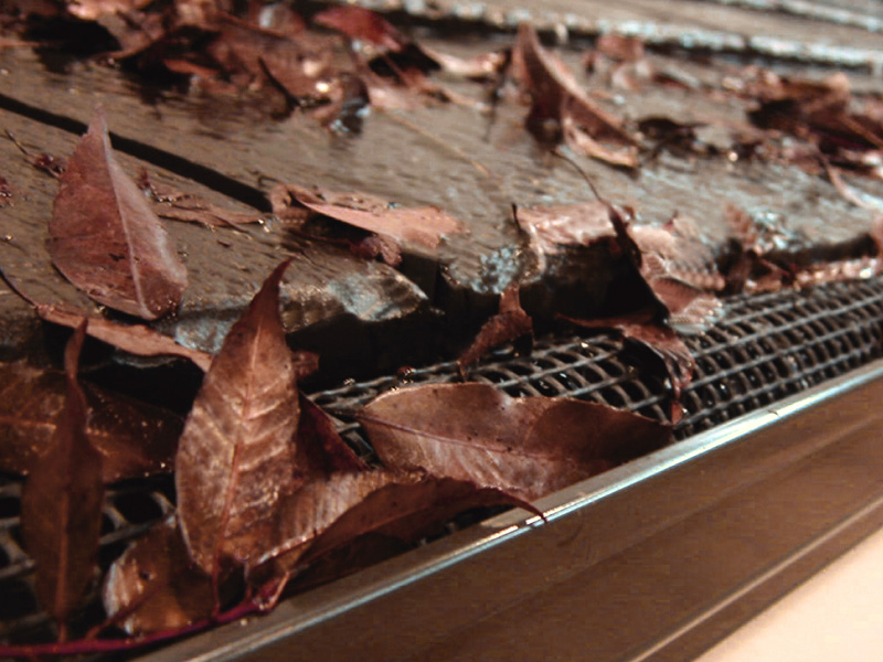 エスロン雨とい枯れ葉よけ「エスロネット」