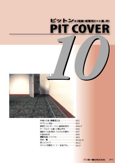 ピットンの詳細