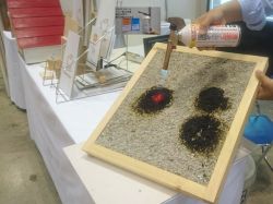 アップルゲートセルロース