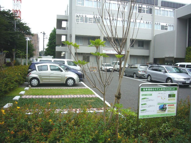 公共施設駐車場 手前：タマリュウ、奥：ノシバ
