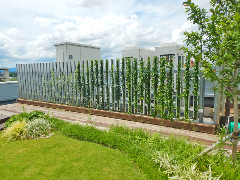 ツルパワールーバー