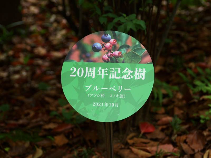 円型樹名札　スタイリッシュで目立ちやすい　記念樹名札用に