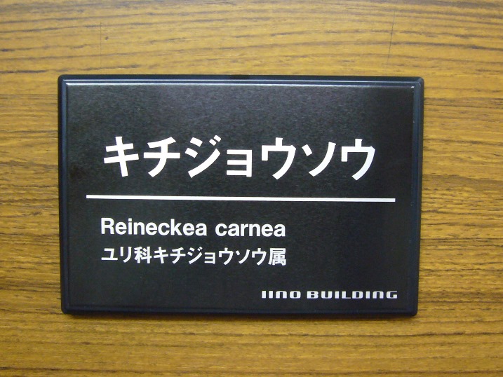 Sモデル樹名札 アルミ板メタルフォト印刷 屋外耐候性10年以上