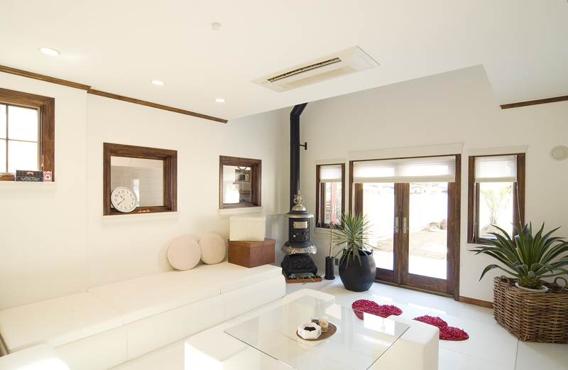 VIRGIN WALLの詳細