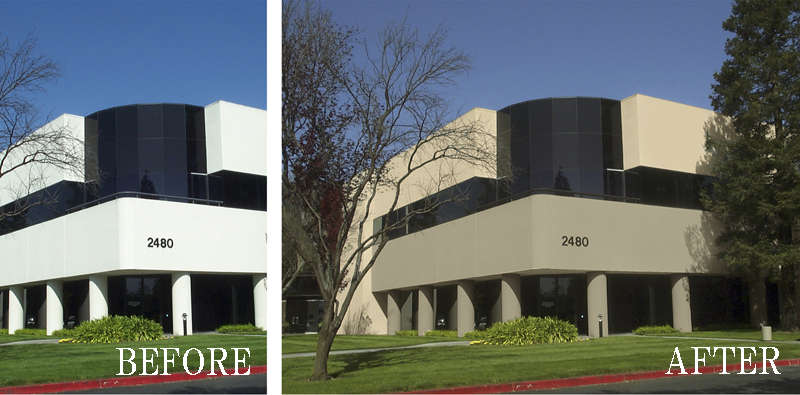 エラストコートの詳細