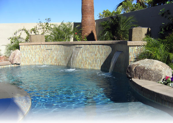 ピーコック ボーダーの詳細