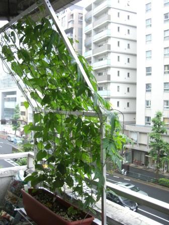 シェードスライダーの詳細