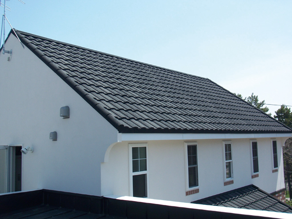 カラーバリエーション：メスキート