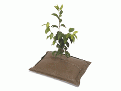 EG植栽パック