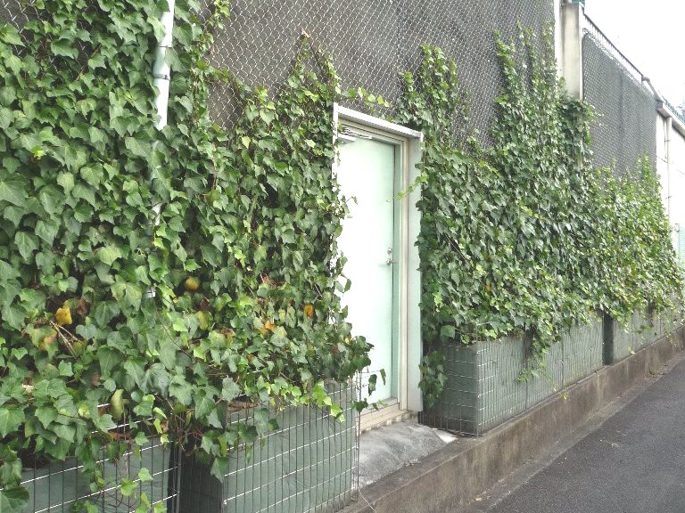 「メッシュタイプ」 メッシュの材質はステンレスのほか、より安価な亜鉛メッキ鉄線（樹脂被覆）もある。 メッシュタイプは、希望のサイズで製作することが可能。