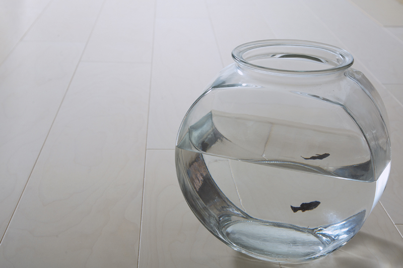 オッティモ＆オッティモダイレクト