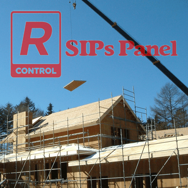 RコントロールSIPsパネルの詳細