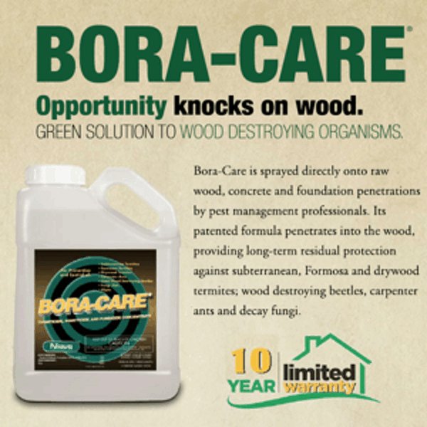 ボラケアの詳細