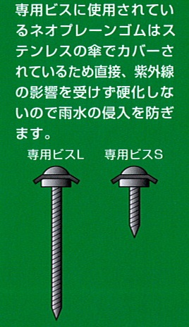 専用ビスに使用されているネオプレーンゴムはステンレスの傘でカバーされているため直接、紫外線の影響を受けず硬化しないので雨水の浸入を防ぐ。