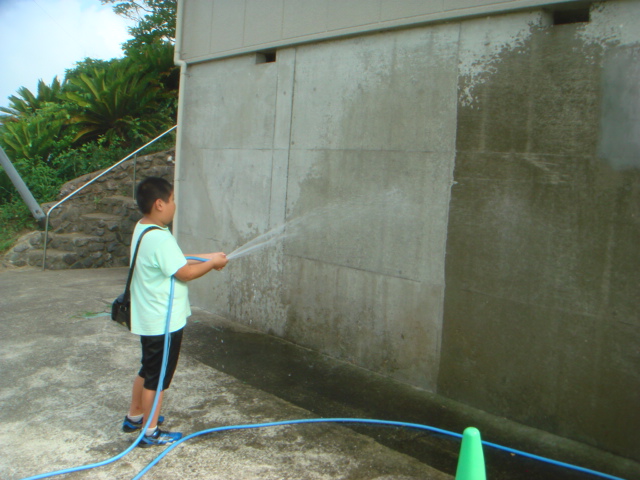 約9年経過後、塗布箇所は水がしみこまない（左半分）