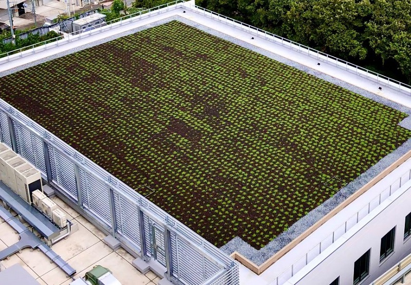 スクエアターフ洪水無用：地被植物施工事例