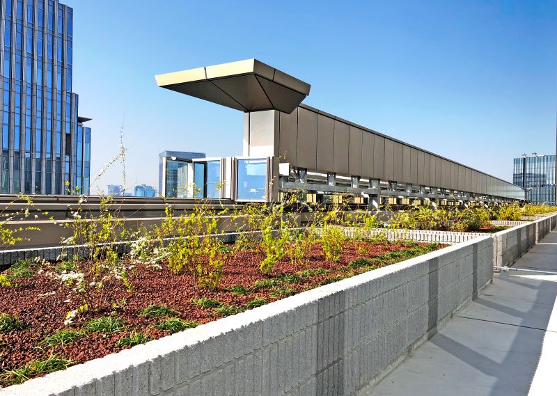 スクエアターフ洪水無用：低木・地被植物施工事例