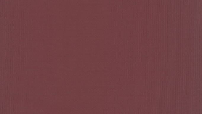 ニューパスティ