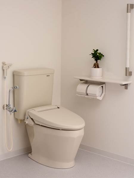 DXR-700HP/N　手洗なし、
暖房便座付、洗浄ノズル付 
定価177,500円