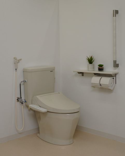 DXR-700P/N,MB31　手洗なし、
洗浄ノズル付、
温水洗浄便座（脱臭付） 
定価255,400円